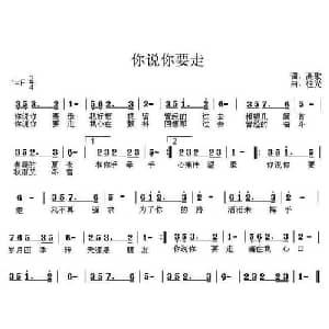你说你要走_通俗唱法乐谱_词曲:高歌 柱光