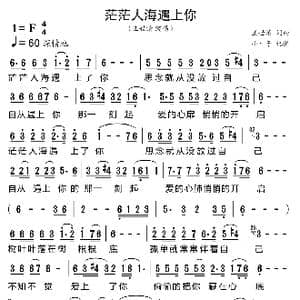 茫茫人海遇上你_歌曲简谱_词曲:王世清 王世清