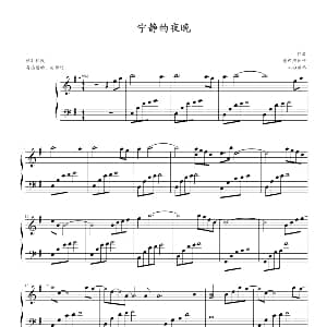 宁静的夜晚 钢琴谱 心の瑶琴