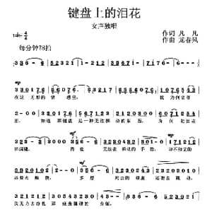 键盘上的泪花_歌谱投稿_词曲:凡凡 龙卷风