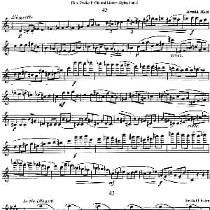 长笛曲谱 | 斯勒新老风格长笛练习重奏曲 第三部分 NO.42 NO.43 Siegfried Thiele S. 斯勒