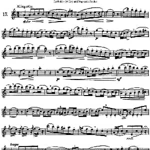 长笛曲谱 | 三十首基础及提高练习曲 NO.17 Garibold 加里波第