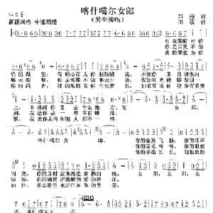喀什噶尔女郎_歌谱投稿_词曲:郑南 田歌