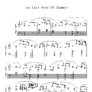 夏日最后一朵玫瑰 钢琴谱
