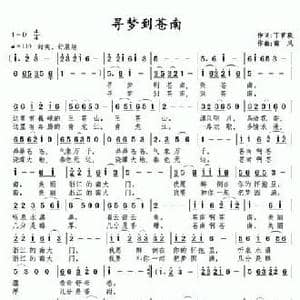 寻梦到苍南_民歌简谱_词曲:丁育政 南风