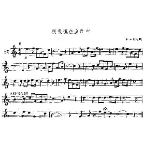 萨克斯谱 | 银线镶在金币中 H P 丹克斯