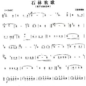 葫芦丝谱 | 石林欢歌 王铁锤
