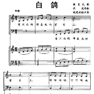 白鸽 捷克 _外国歌谱