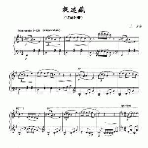 捉迷藏 钢琴谱 王芳