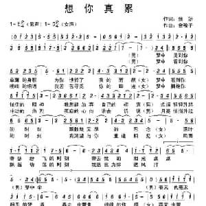 想你真累_通俗唱法乐谱_词曲:张妍 金嗓子