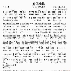 遍体鳞伤_歌谱投稿_词曲:阿龙正罡 阿龙正罡