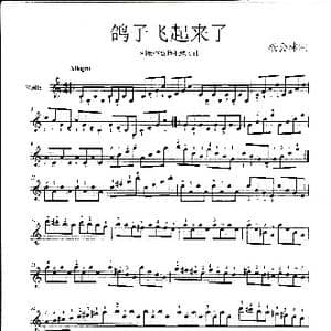 鸽子飞起来了_歌谱投稿_词曲: 杨会林