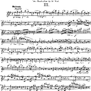 长笛曲谱 | 图露三首长笛简易重奏曲Op.103 Flute 1 NO.3 Tulou 图露