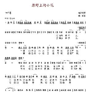 原野上的小花_歌谱投稿_词曲:韦晓吟 魏群