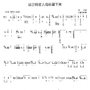 琵琶谱 | 远方的客人请你留下来 麦丁曲 刘德海改编