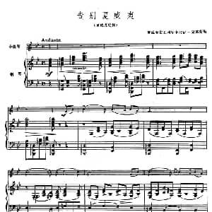 小提琴谱 | 告别夏威夷 又名 夏威夷旋律 小提琴 钢琴伴奏