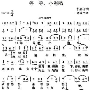 等一等,小海鸥_美声唱法乐谱_词曲:傅经书 李嘉评