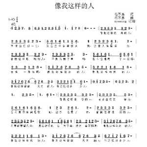 像我这样的人_歌谱投稿_词曲:毛不易 毛不易