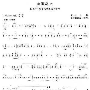 二胡谱 | 太阳岛上 王立平