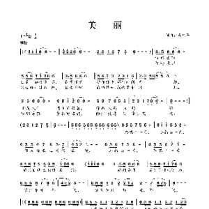 美丽_歌曲简谱_词曲:肖光平 肖光平