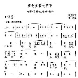 相会在攀枝花下_民歌简谱_词曲:张天民 高风