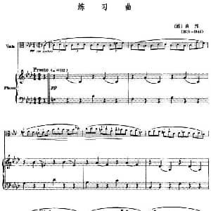 练习曲 中提琴 钢琴伴奏 波 肖邦