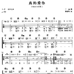 真的爱你 吉他谱 Beyond 小美 黄家驹