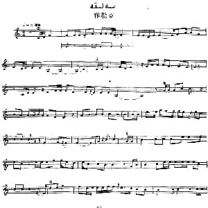 Ⅶ 埃介姆木卡姆 337 347 主旋律谱 十二木卡姆