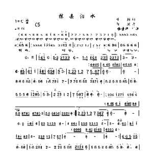 抹去泪水_歌谱投稿_词曲:卡斯 陈宏