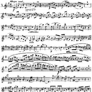 长笛曲谱 | 库劳长笛二重奏练习曲Op.10 Flute 2 No.3 Kuhlau 库劳