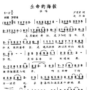 生命的海拔_通俗唱法乐谱_词曲:芦苇岸 赵乐