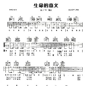 生命的意义 吉他谱 水木年华 曹秦 曹秦