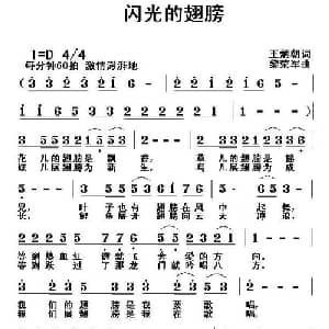 闪光的翅膀_通俗唱法乐谱_词曲:王炳朝 黎荣军