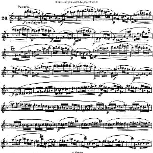 长笛曲谱 | 柯勒30首高级长笛练习曲作品75号 NO.20 Kohler 柯勒