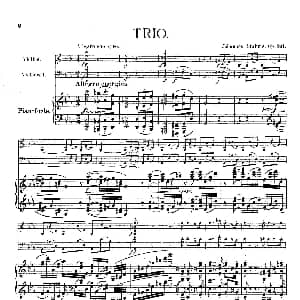 Piano Trio No.3 in c Minor Op.101 钢琴谱 约翰内斯 勃拉姆斯