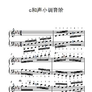 第九级14.c和声小调音阶 钢琴谱