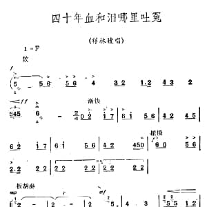 秦腔 祝福 唱腔选 四十年血和泪哪里吐冤 祥林嫂唱段