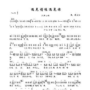 遇见情缘遇见你_歌曲简谱_词曲:魏歌 魏歌