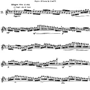 长笛曲谱 | 胡埃斯24首长笛练习曲Op.32 NO.11 胡埃斯