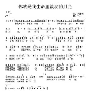 你就是我生命里淡淡的月光_通俗唱法乐谱_词曲:肖建明 小卉
