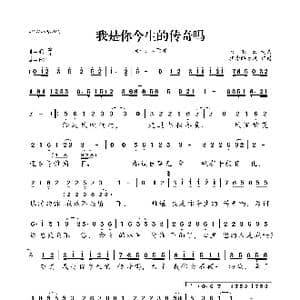 我是你今生的传奇吗_歌曲简谱_词曲:肖雨蒙 肖雨蒙