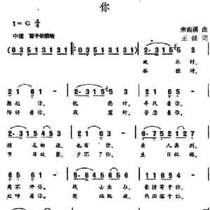 你_民歌简谱_词曲:王健 朱南溪