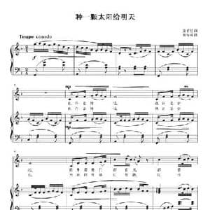 种一颗太阳给明天_民歌简谱_词曲:雷子民 刘智强