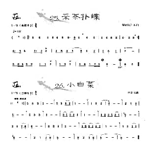 葫芦丝谱 | 葫芦丝曲精选 采茶扑蝶 小白菜 王甲坤 王甲华编著