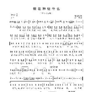 我在神经什么_歌曲简谱_词曲:宋普照 淡淡