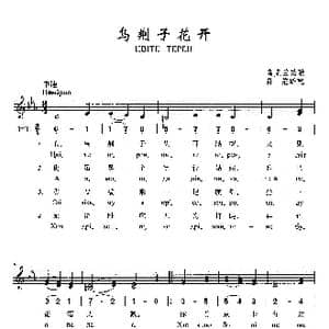 乌荆子花开_歌曲简谱