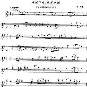 小提琴谱 | 生活问我 我问生活 电视剧 姊妹行 插曲 雷蕾