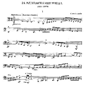 瓦西里耶夫24首大号练习曲集 1—6