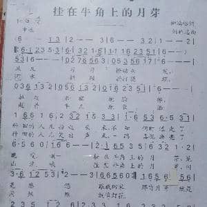 挂在牛角上的月芽_歌曲简谱_词曲:柳鸿裕 刘祚志