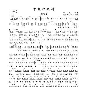 曾经你不懂_歌曲简谱_词曲:烟花泪 烟花泪 李胜华